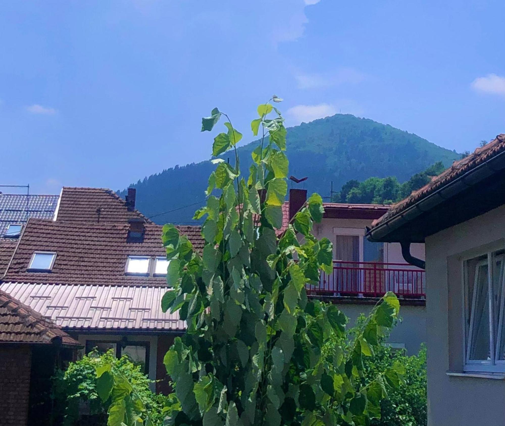 Apartman Balkan Visoko Luaran gambar